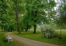 Fotos_Frühling
