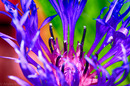 Fotos_Frühling