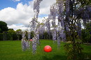 Fotos_Frühling