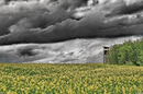 Fotos_Frühling