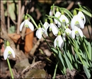 Fotos_Frühling