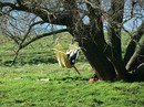 Fotos_Frühling