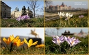 Fotos_Frühling