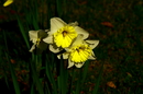 Der Frühling ist da