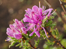 Frühling