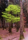 Fotos_Frühling