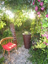 Fotos_Frühling