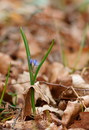 Frühling im Krumker Park 