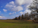 Frühling über den Feldern