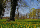 Fotos_Frühling