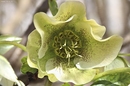 Fotos_Frühling