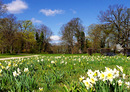Frühling im Park