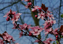 Frühling