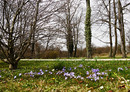 Fotos_Frühling