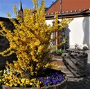 Klosterhof Seeligenstadt am Main