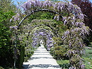 Fotos_Frühling