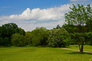 Parklandschaft