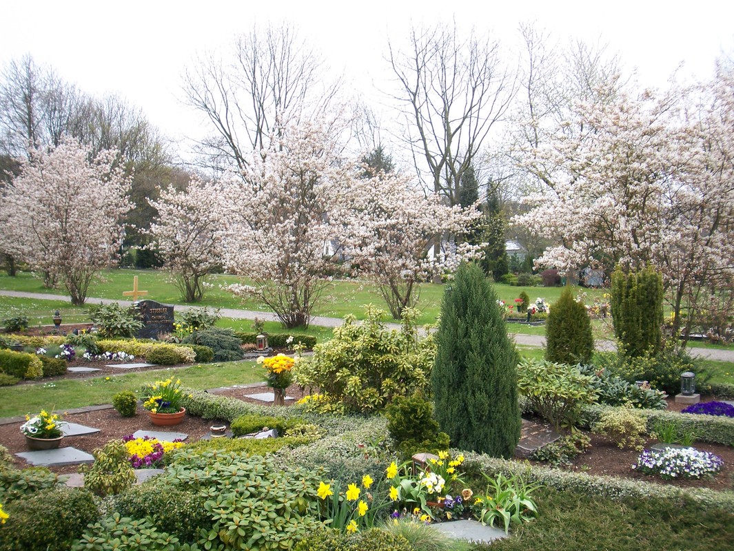 Frühling