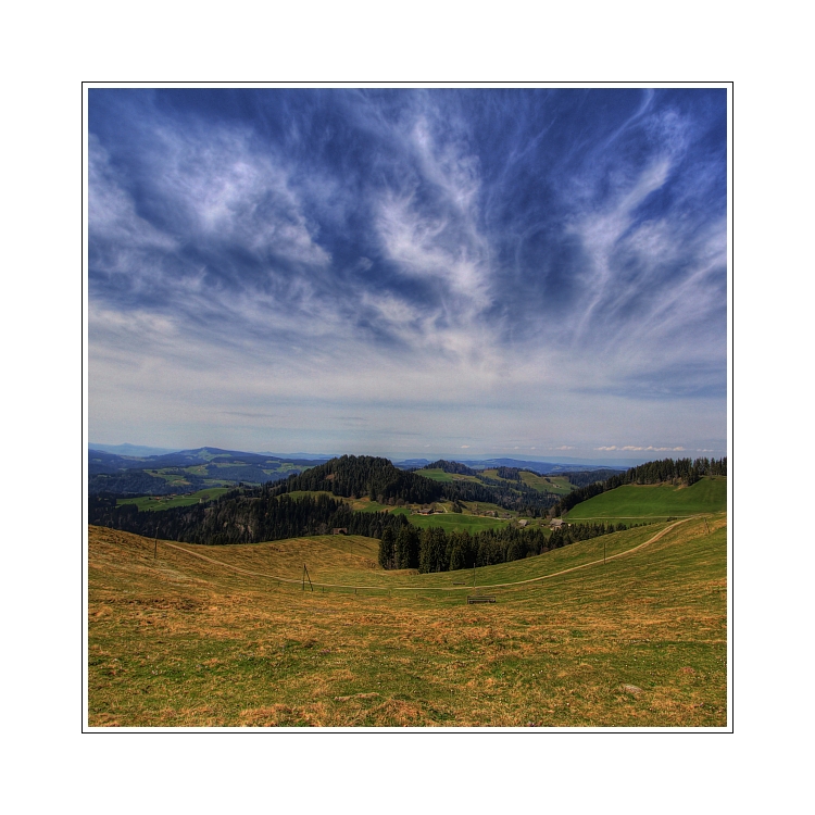 --- f r ü h l i n g ---