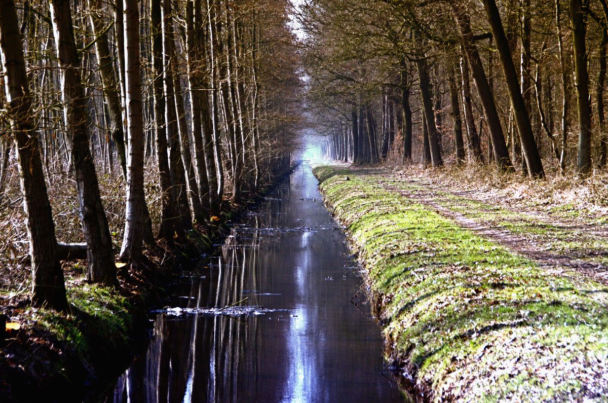 Osterspaziergang am Kanal