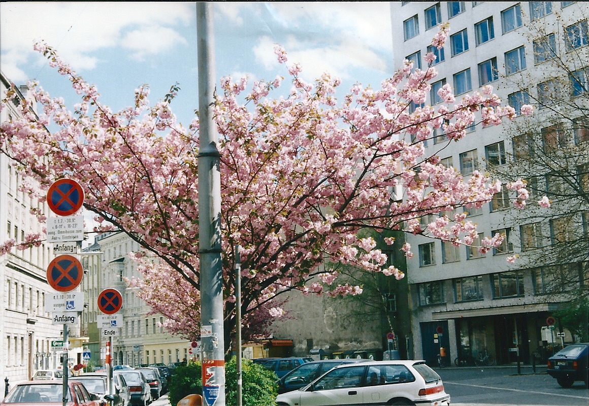 Frühling 2001