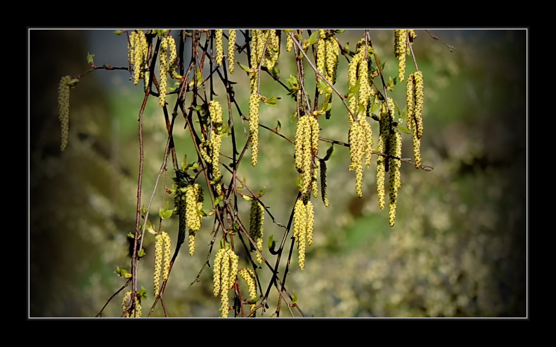 "einfach mal nur so abhängen :-)