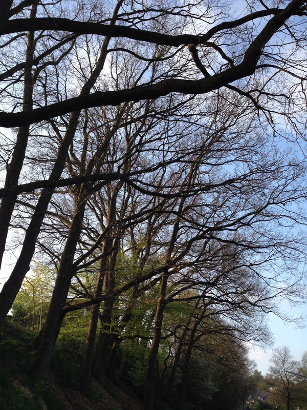 Der Tag startet .......