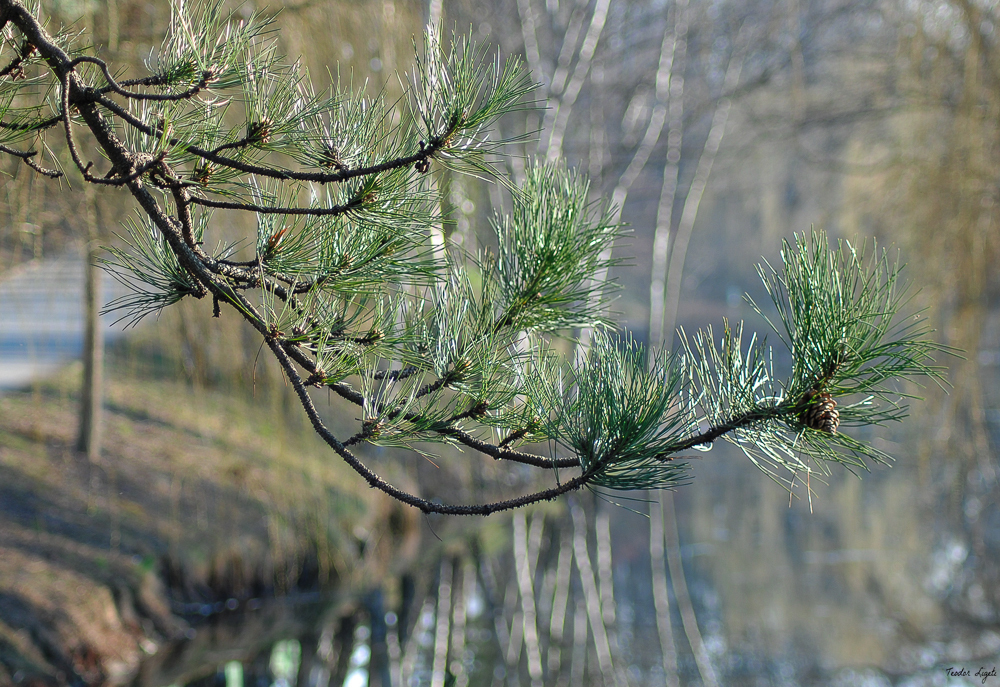 Der Frühling kommt mit grosse schritte.