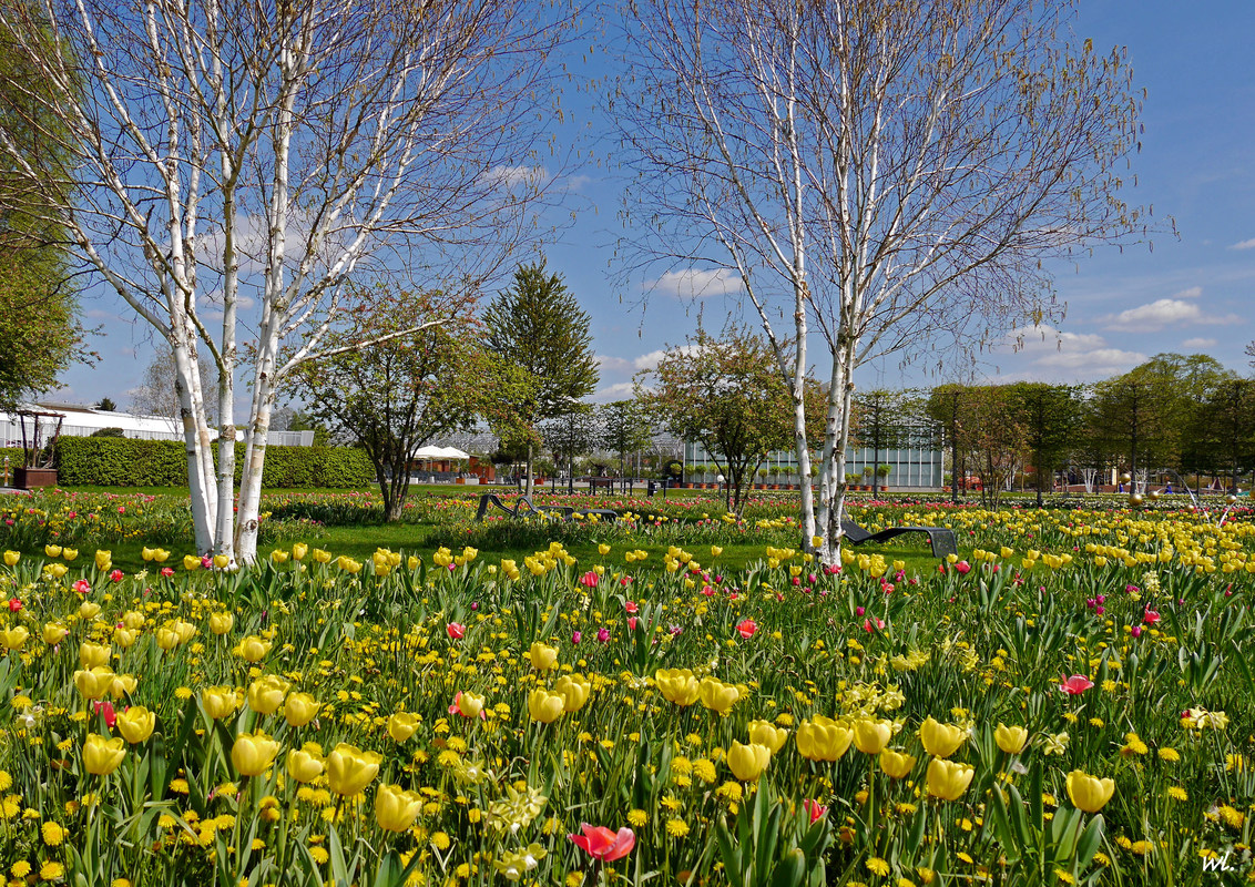 ein Ort zum träumen...