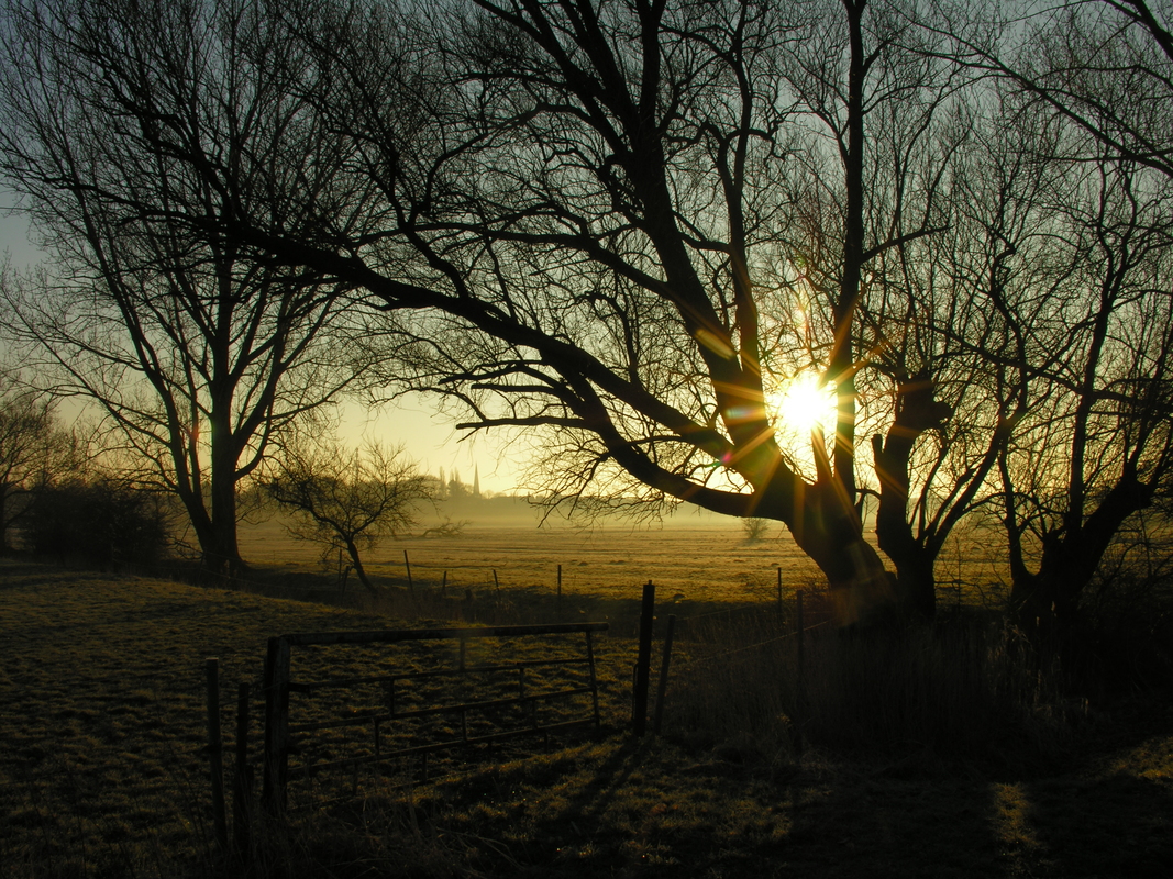 Frühlingsmorgen