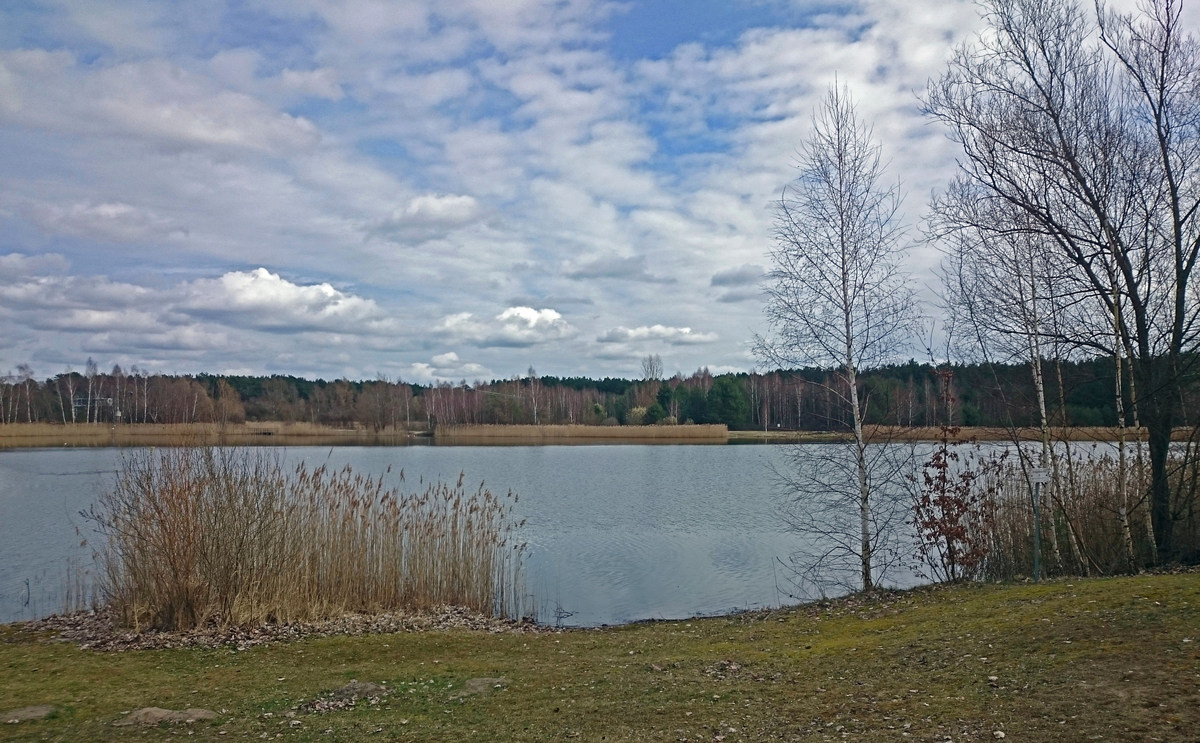am Bernsteinsee