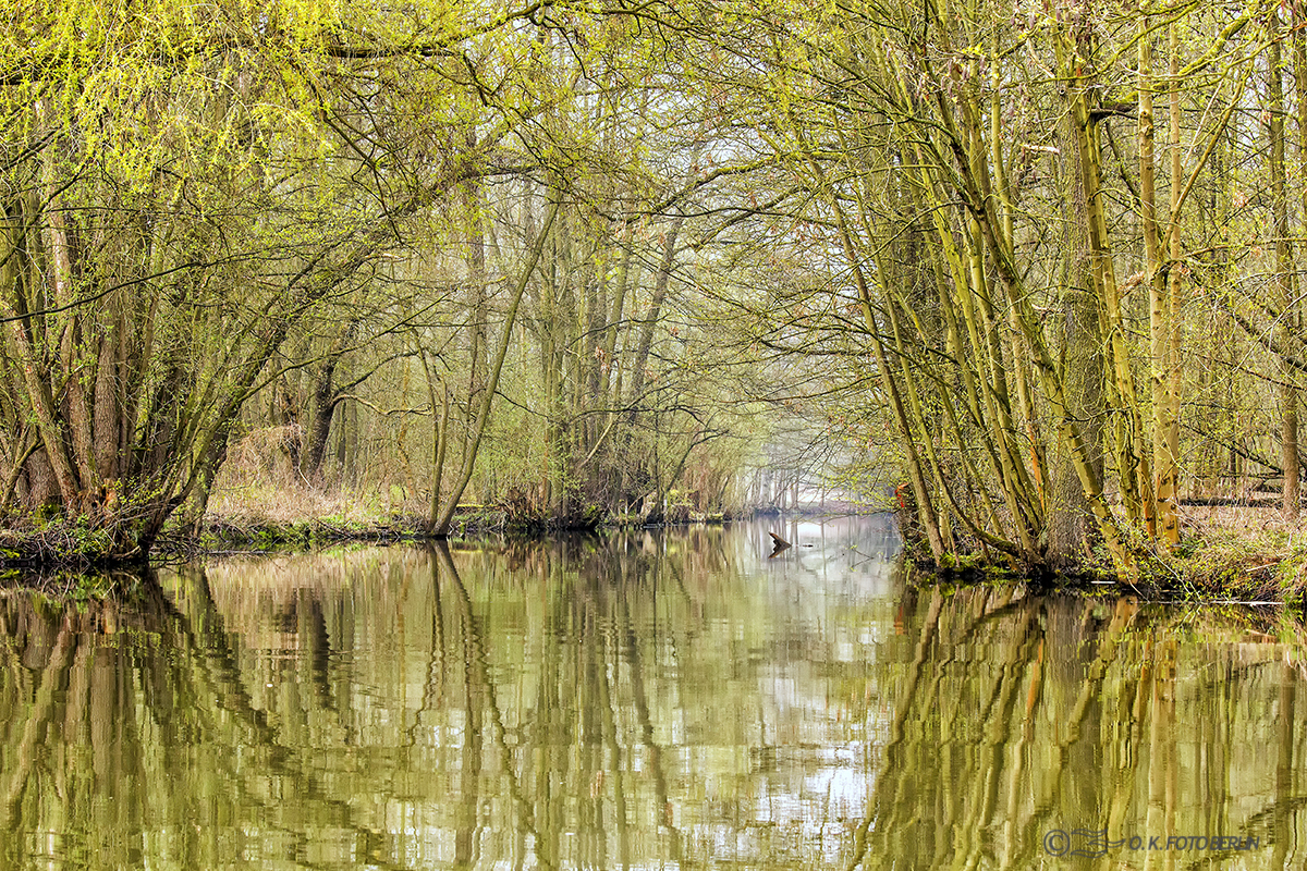 April im Spreewald