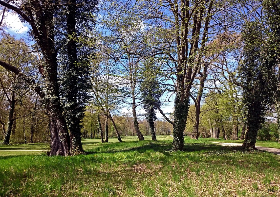 die Natur erwacht...