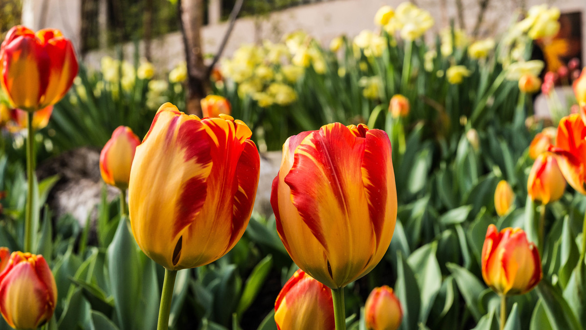 Frühlingsfarben