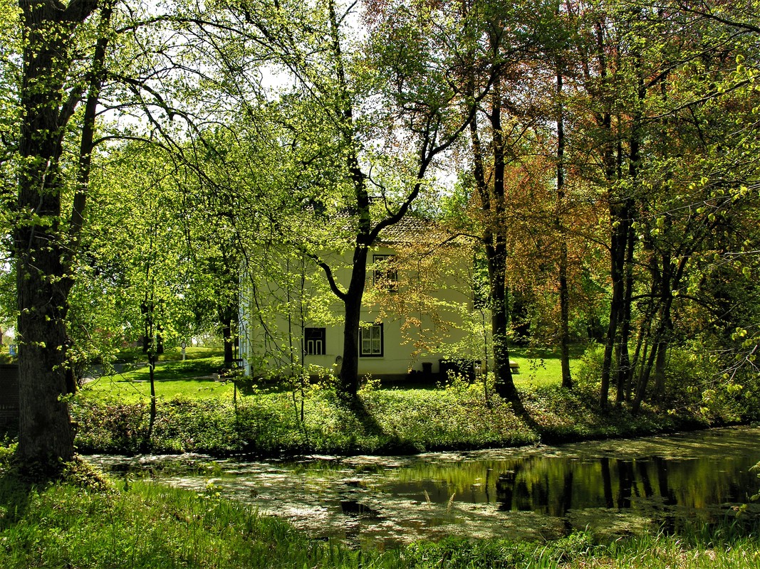 Endlich Frühling...