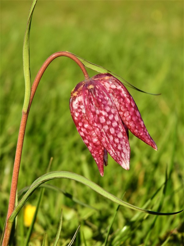 Naturschönheit