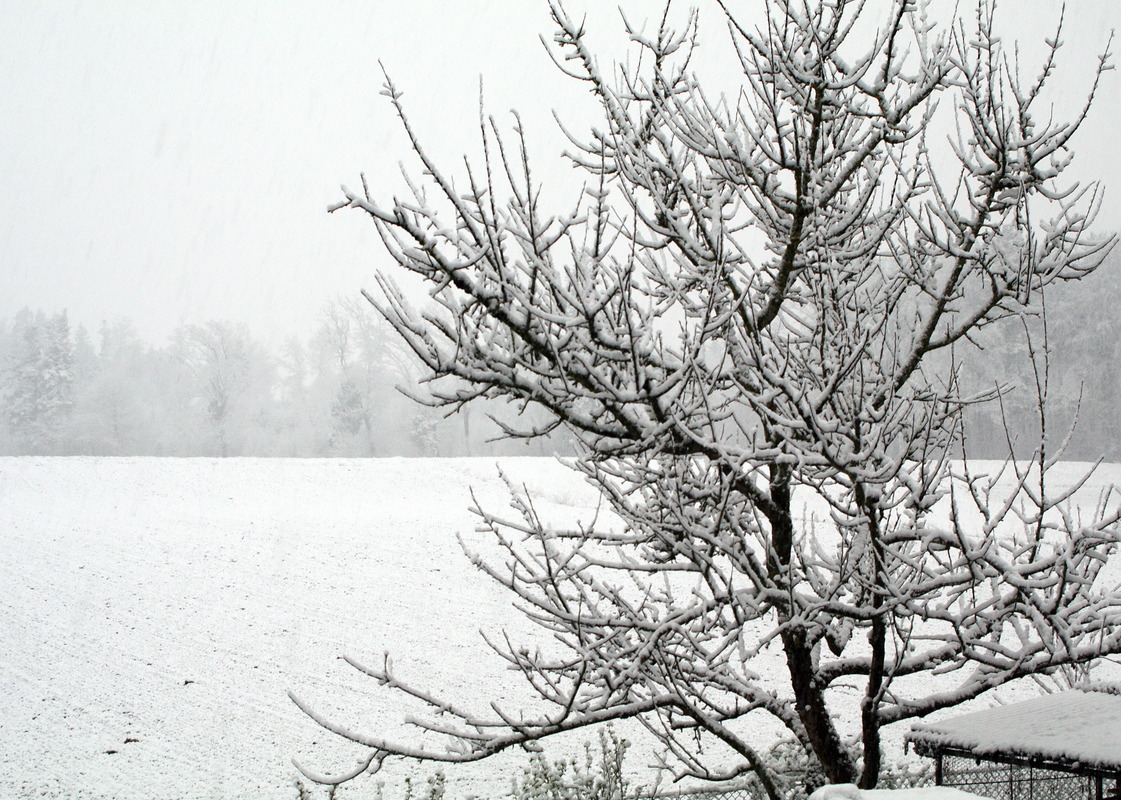Ostersonntag bei mir