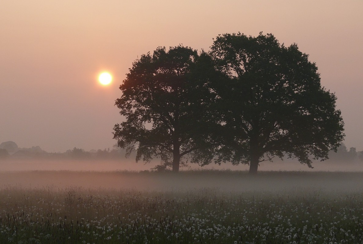 Am Morgen