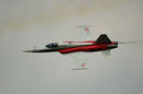Patrouille Suisse F-5 Tiger Team