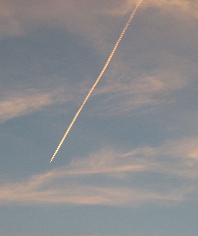 Wohin des Fluges? (2)