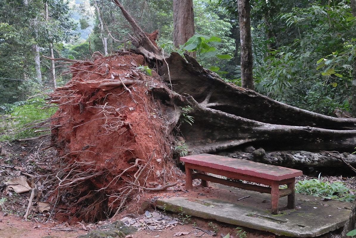 Nein ! Ich brauche noch keine Pause 