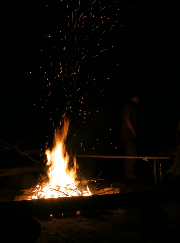 Thema des Tages - " Feuerwerk "