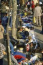 ffm-flo 19