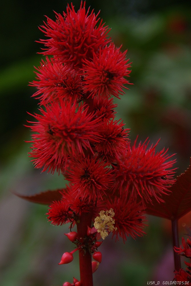 Farbe Pur!