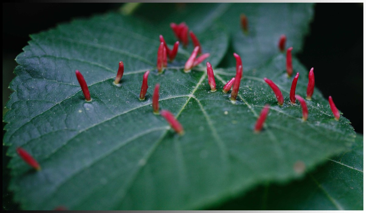 Was es so alles gibt