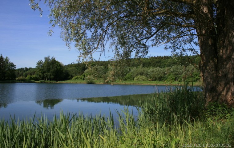 Am Weiher