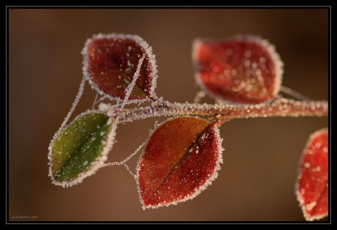 winteranbruch