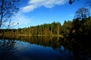 Der kleine Teich