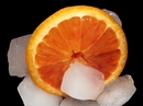 Orange on ice 