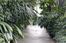 Botanischer Garten München 1